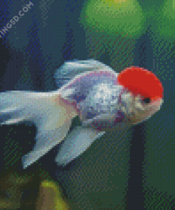 Pink Cap Fish Diamond Paintings