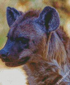 Spotted Hyena Face Diamond Paintings