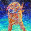 Aesthetic Wet Dog Art Diamond Paintings
