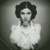 Black And White Princess Leia diamond painting