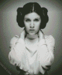 Black And White Princess Leia diamond painting