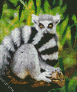 Tail Lemur Diamond Paintings