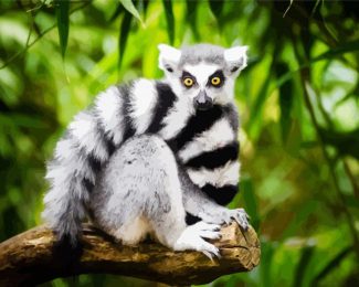 Ring Tailed Lemur Primate diamond painting