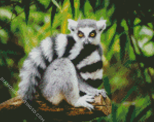 Tail Lemur Diamond Paintings