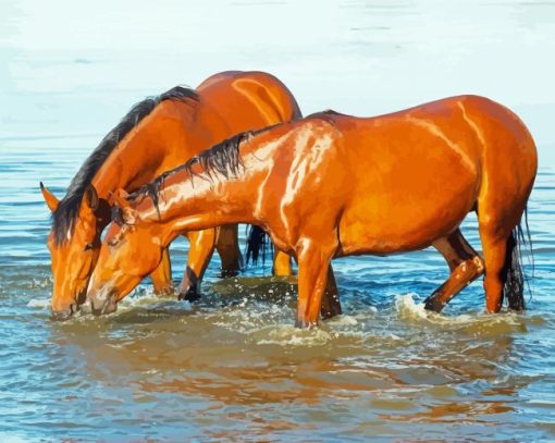 Brown Horses Drinking Water Diamond Paintings