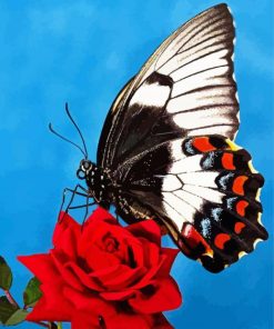 Butterfly Rose Diamond Paintings