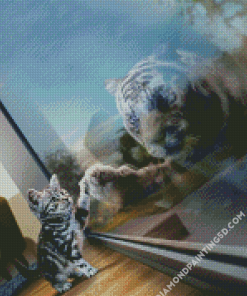 Cat And Tiger Diamond Paintings
