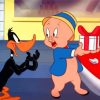 Daffy Duck And Porky Pig diamond painting
