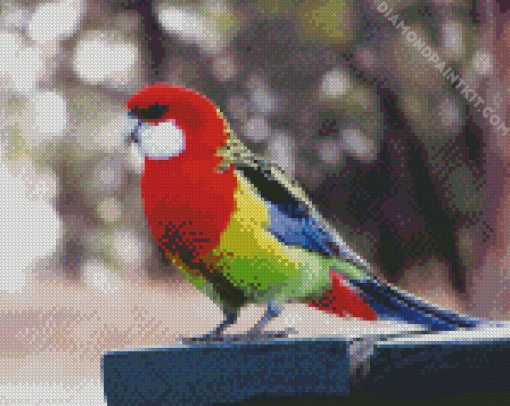 Colorful Rosella Bird Diamond Paintings