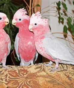 Grey And Pink Cackatoo Birds Diamond Paintings