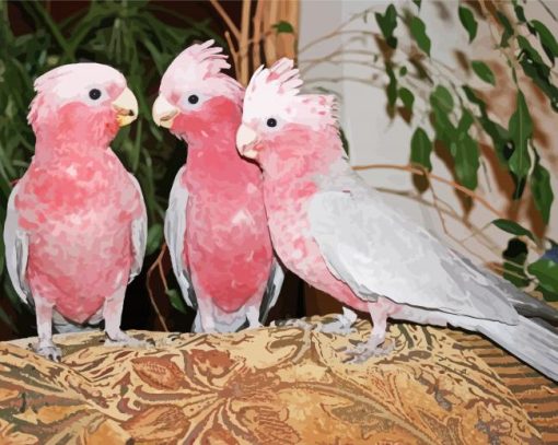 Grey And Pink Cackatoo Birds Diamond Paintings