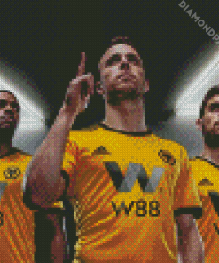 Wolverhampton Wanderers FC Players Diamond Paintings