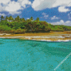 Beach In Niue Island Diamond Paintings
