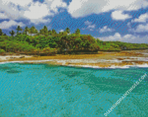 Beach In Niue Island Diamond Paintings