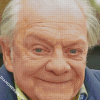 Close Up David jason Diamond Paintings