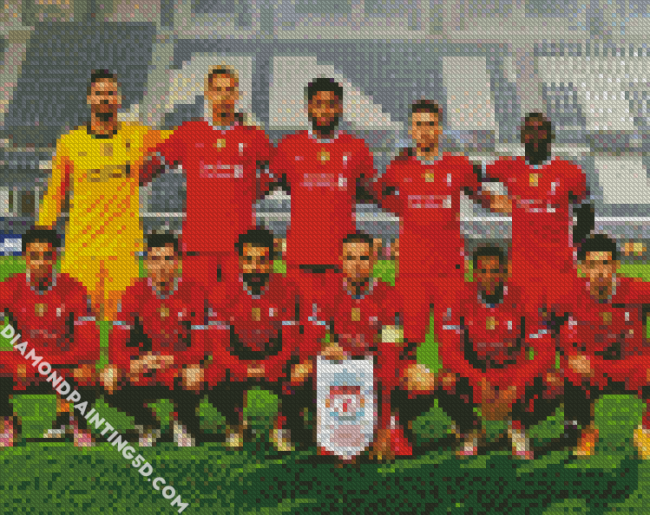 Liverpool FC Team diamond painting
