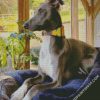 Lurcher Dog On Sofa diamond painting