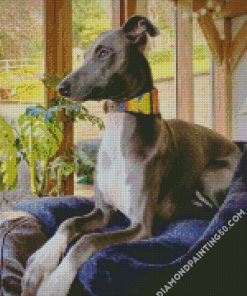 Lurcher Dog On Sofa diamond painting