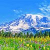 Mt Rainier And Flowers Diamond Paintings