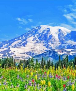 Mt Rainier And Flowers Diamond Paintings