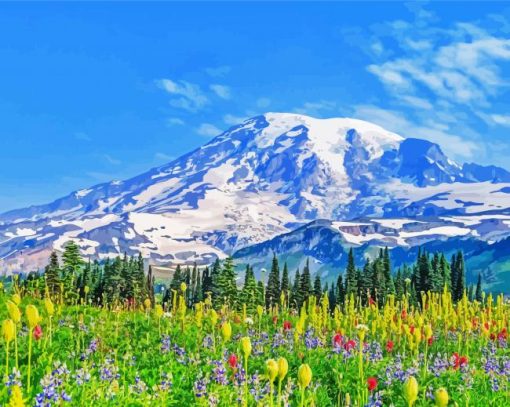 Mt Rainier And Flowers Diamond Paintings