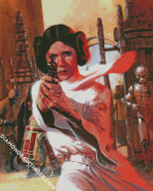 Princess Leia Star Wars diamond painting