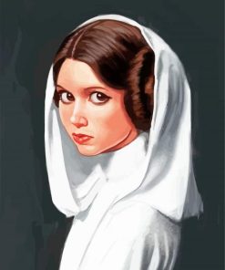 Princess Leia diamond painting