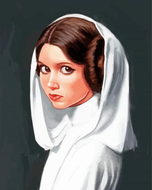 Princess Leia diamond painting