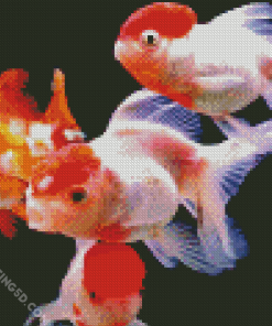 Red Cap Orandas Goldfish Diamond Painting