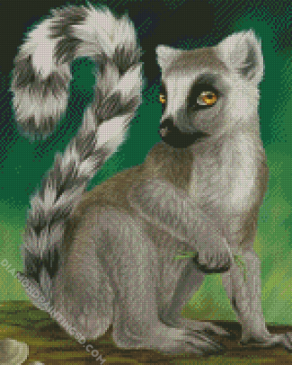 Ring Tailed Lemur Animal diamond painting