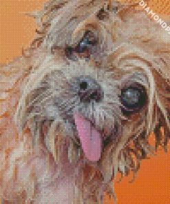 Adorable Wet Dog Diamond Paintings