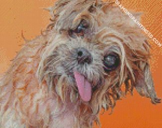Adorable Wet Dog Diamond Paintings