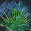 Aesthetic Palm Frond Diamond Paintings