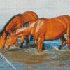 Brown Horses Drinking Water Diamond Paintings