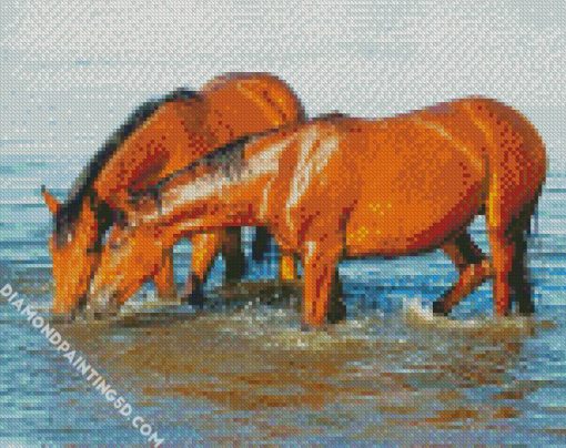 Brown Horses Drinking Water Diamond Paintings