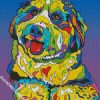 Colorful Bernedoodle Diamond Paintings