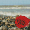 Red Roses And Beach Diamond Paintings