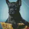 Black Cairn Terrier In Basket Diamond Paintings