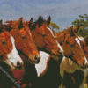 Five Horses Diamond Paintings