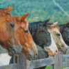 Five Horses Animals Diamond Paintings