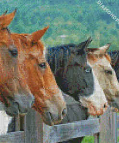 Five Horses Animals Diamond Paintings