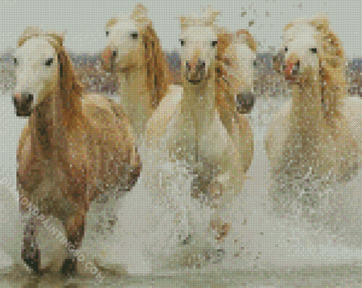 Five Horses In Water Diamond Paintings