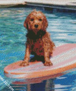 Wet Dog On Surfboard Diamond Paintings