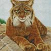 The Lynx Cat diamond painting
