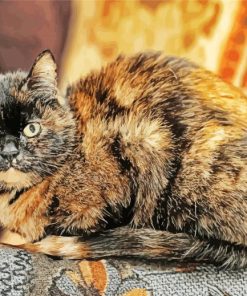 Tortoiseshell Cat Diamond Paintings
