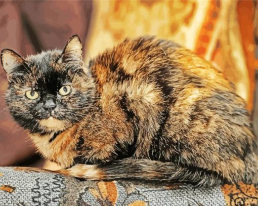 Tortoiseshell Cat Diamond Paintings