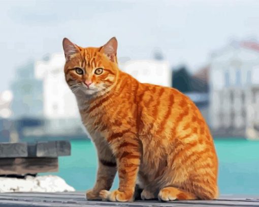 Aesthetic Orange Tabby Cat Diamond Paintings