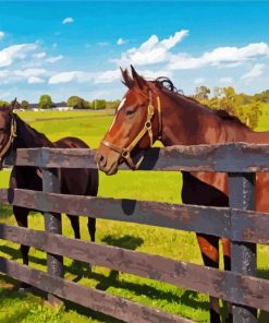 Aesthetic Farm Horses Diamond Paintings