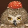 Aesthetic Owl Diamond Paintings