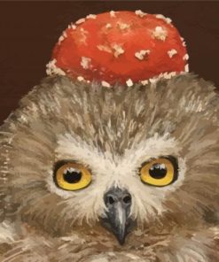 Aesthetic Owl Diamond Paintings